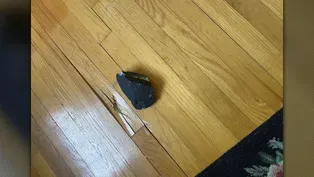 Meteorite crashes through Hopewell Township home