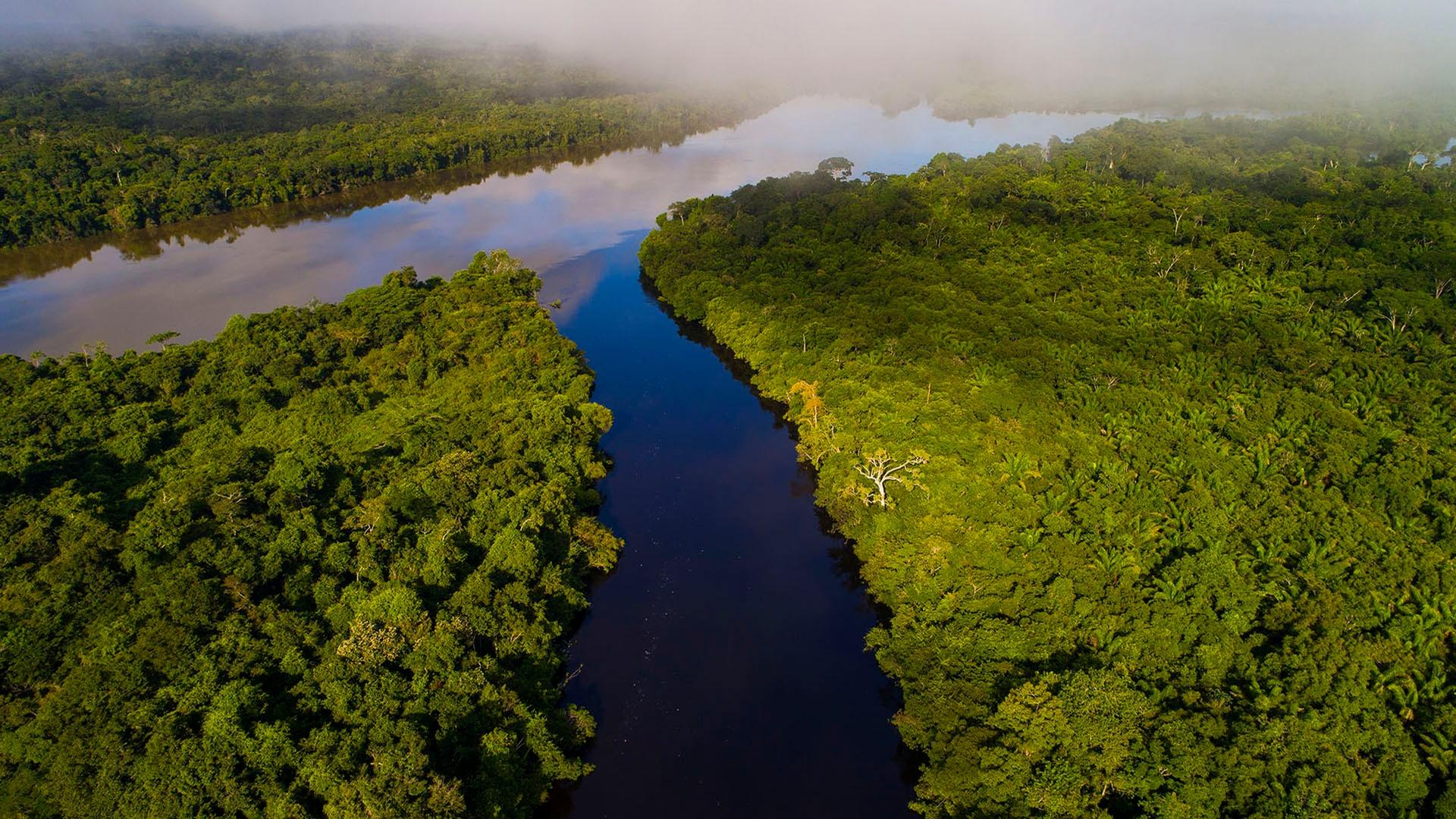 a case study on life in amazon river basin