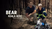 Bear: Koala Hero