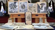 Appraisal: "How Man Learned to Fly" Illustrations, ca. 1915
