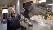 Ohio Wildlife Center