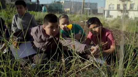 Video thumbnail: Earth Focus Students in High-Density Neighborhood Reconnect with Nature