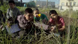 Students in High-Density Neighborhood Reconnect with Nature