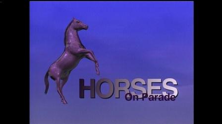 Video thumbnail: People & Places Horses On Parade