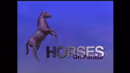Horses On Parade