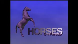 Horses On Parade