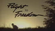Flight to Freedom Part 2