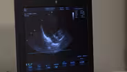 Pursuing a Medical Career: WXXI American Grad Champions