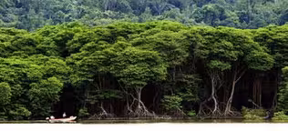 CONGO