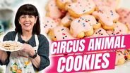 Frosted Circus Animal Cookies | The Best Nostalgic Recipe!