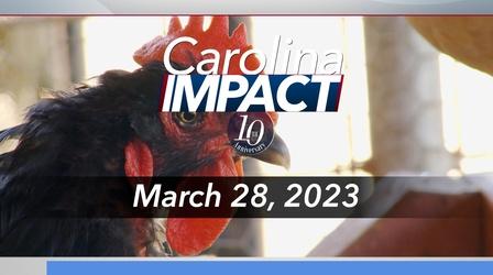 Video thumbnail: Carolina Impact Carolina Impact: March 28, 2023