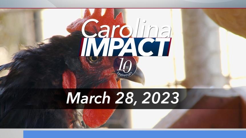 Carolina Impact: March 28, 2023