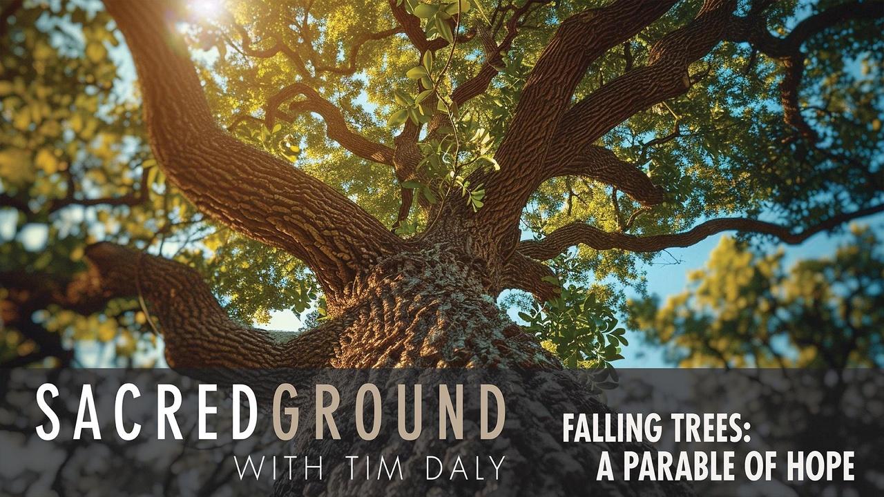 Sacred Ground with Tim Daly