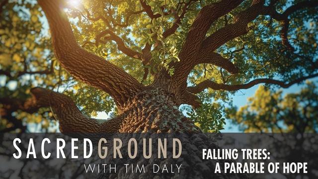Falling Trees: A Parable of Hope