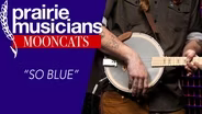 MoonCats, "So Blue"