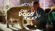 TRAILER | NOVA 5303 | NOVA | Can Dogs Talk?