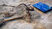 A Gruesome Discovery in Rural Poland