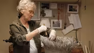 NATURE episode