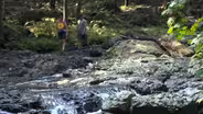 Drownings prompt warnings of need for water safety