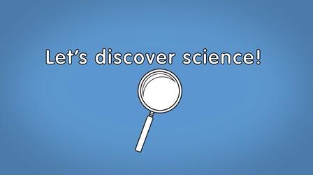 Let’s discover science!