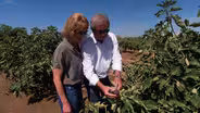 California Figs and Pistachios