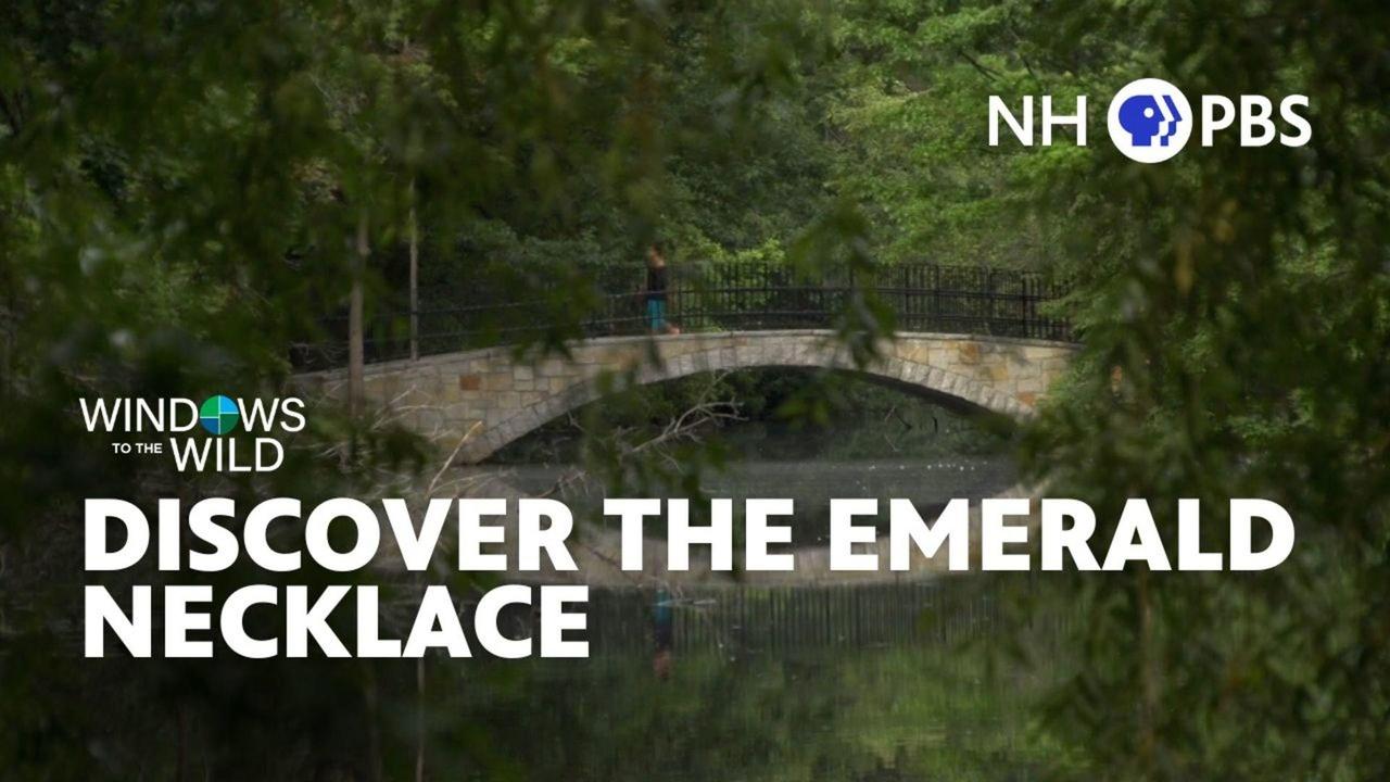 Windows to the Wild | Discover the Emerald Necklace