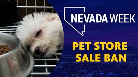 Video thumbnail: Nevada Week Pet Store Sale Ban