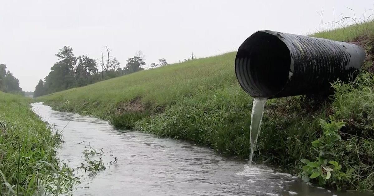 Great Lakes Now Great Black Swamp Episode 7 PBS