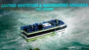 Saving Whitefish and Navigating Niagara