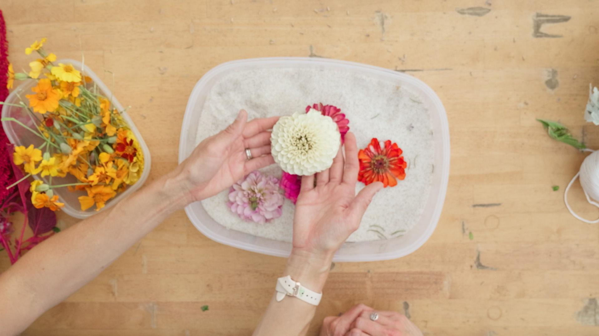 Learn how to preserve your flowers through techniques like hang drying, using silica gel, and more.