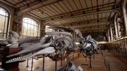 Hatch Act, accessibility at the capitol, When Whales Walked