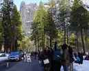NPS strained by Trump's construction, political pressure