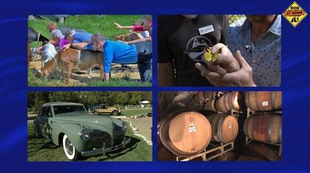 Video thumbnail: Rob on the Road A Decade of Destinations – Best Road Trips