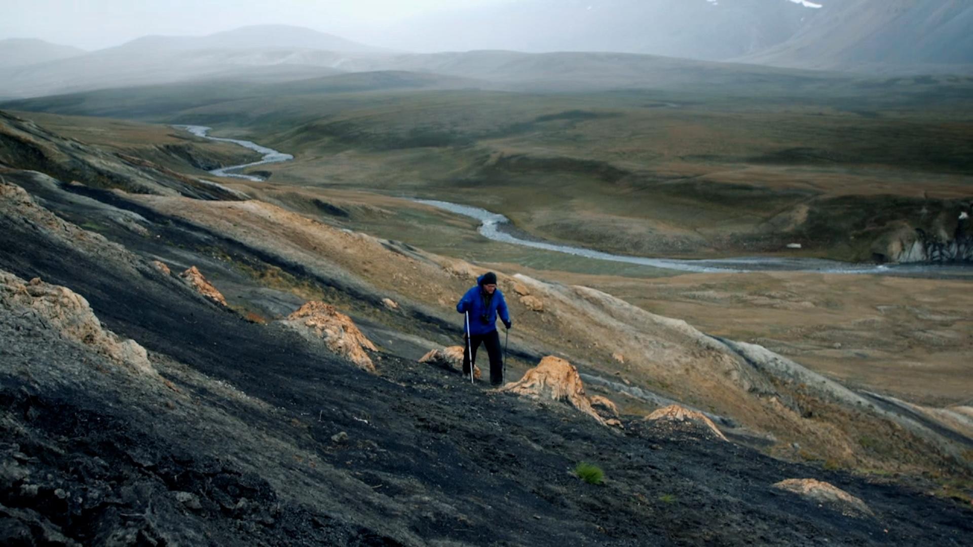 Why Are There Stone Tree Trunks in the Arctic?
