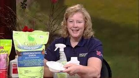 Video thumbnail: Backyard Farmer Digging Deeper: Organic Pesticides