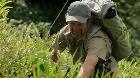 Video thumbnail: PBS KVIE Previews Death in Paradise: Erupting in Murder Preview