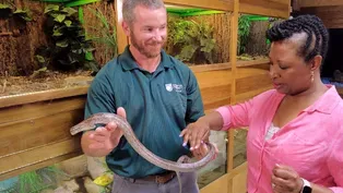 Howell Woods Environmental Learning Center