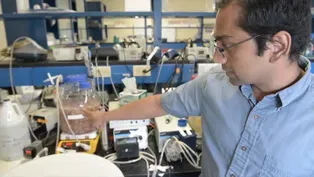More efficient models for environmental sustainability