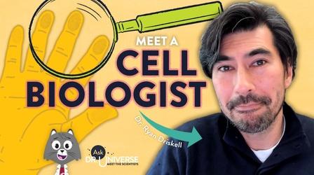 Video thumbnail: Ask Dr. Universe Ask Dr. Universe: Meet A Cell Biologist