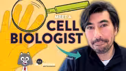 Ask Dr. Universe: Meet A Cell Biologist