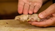 Growing Ginger
