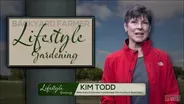 Backyard Farmer: Lifestyle Gardening:   Unusual Vegetables