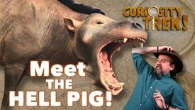 The Entelodont "Hell Pig" | Curiosity Trek: asset-mezzanine-16x9