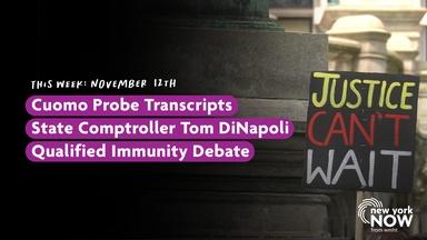 Cuomo Transcripts, Comptroller DiNapoli, Qualified Immunity