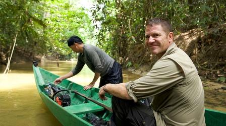 Video thumbnail: Expedition Episode 5 Preview | Borneo – Dark Shadow