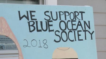 Video thumbnail: Planet Granite Blue Ocean Discovery Center