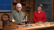 Zooming In on Garden Pests and Diseases