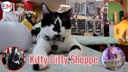 Kitty Citty Shoppe