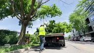Storms Leave Damage and Power Outages across state, Midwest
