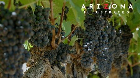 Video thumbnail: Arizona Illustrated Wine, therapy, art